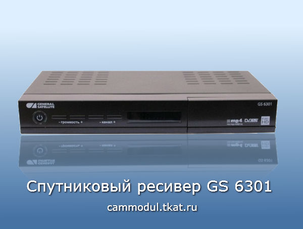 GS 6301